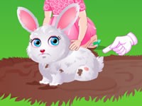 Baby Hazel Pet Care Baby Hazel Pet Care